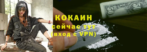 первитин Михайлов