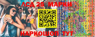 шишки Кандалакша