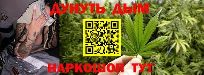 шишки Кандалакша