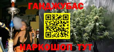 шишки Кандалакша
