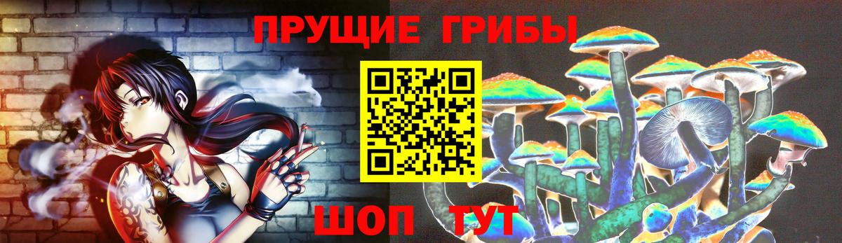 Псилоцибиновые грибы Psilocybe Якутск