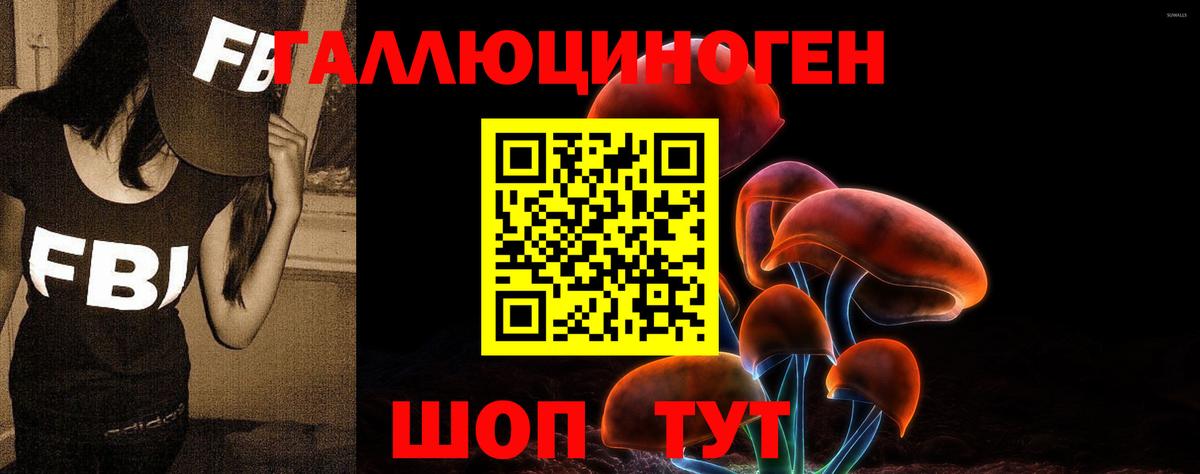 Галлюциногенные грибы MAGIC MUSHROOMS  Вход с VPN  Якутск 
